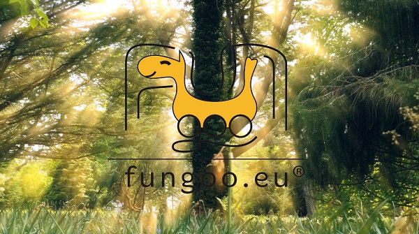 Fungoo logo wooden playtowers